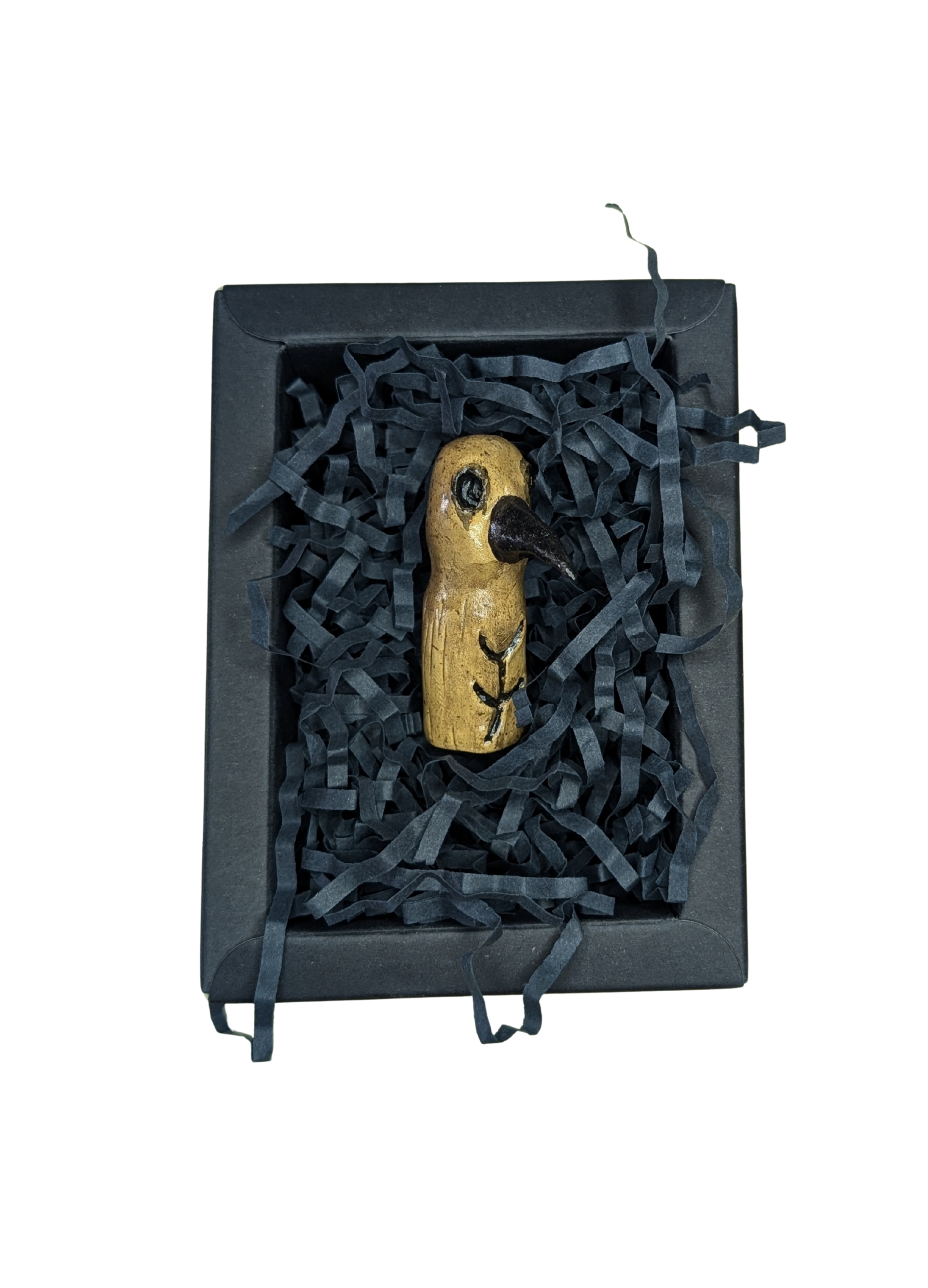 CROW presented inside its archival conservation box