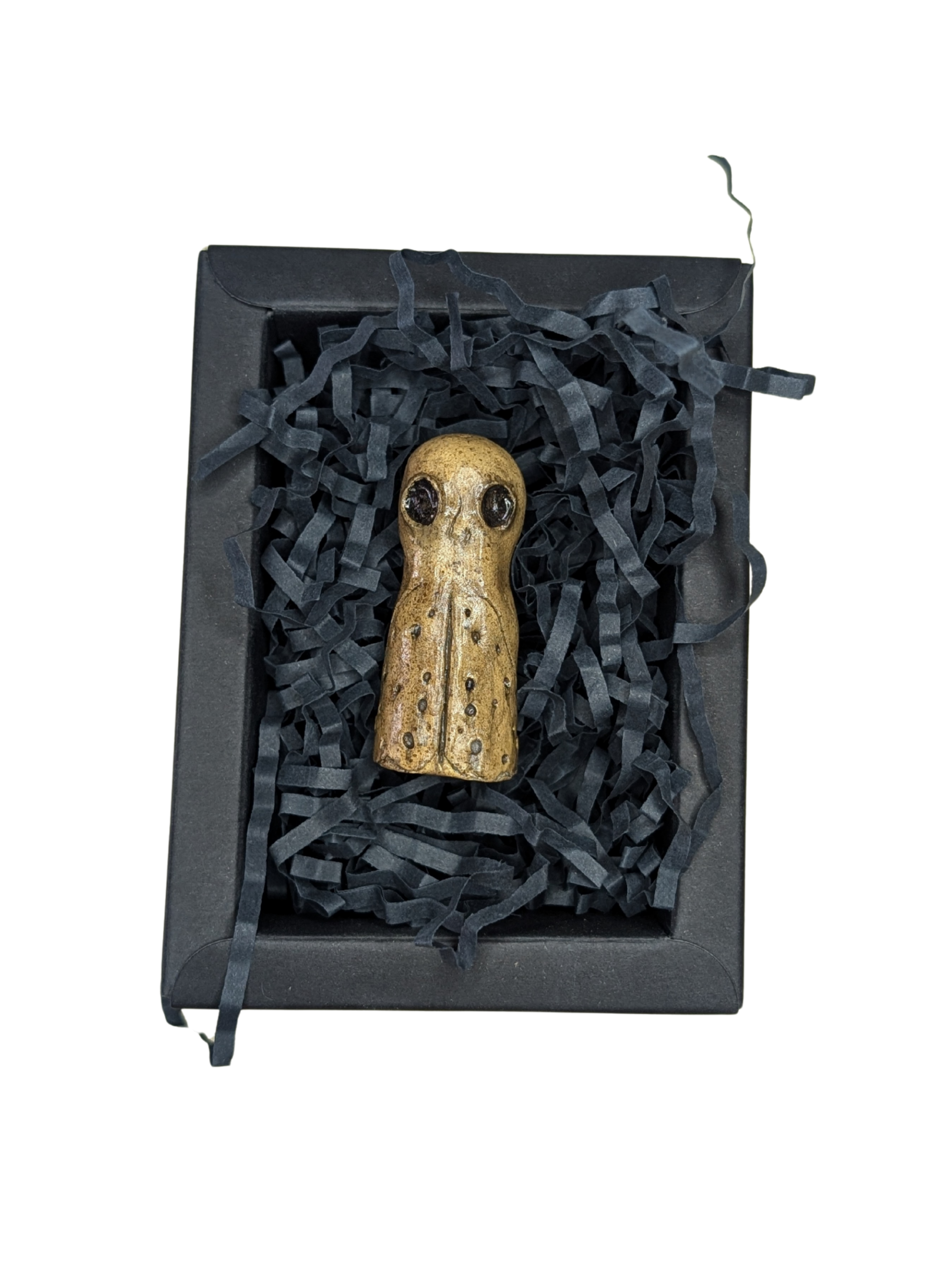 MOTH presented inside its archival conservation box