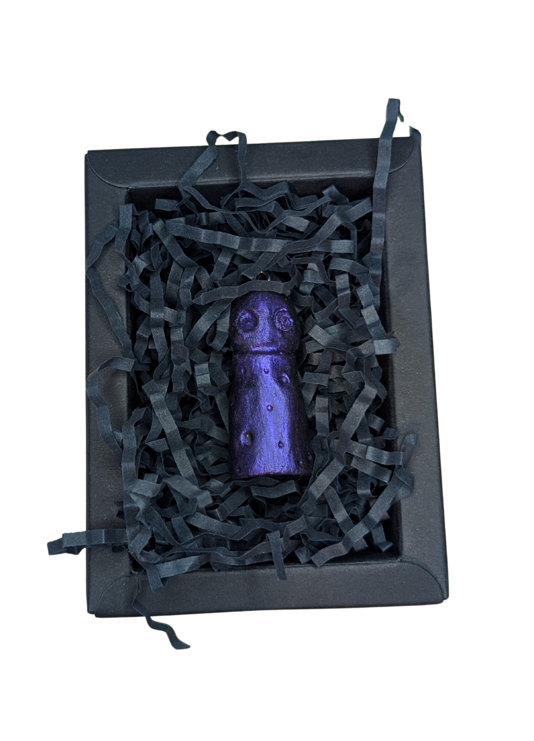 ORBIT presented inside its archival conservation box